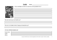Giraffe-Fragen-2.pdf